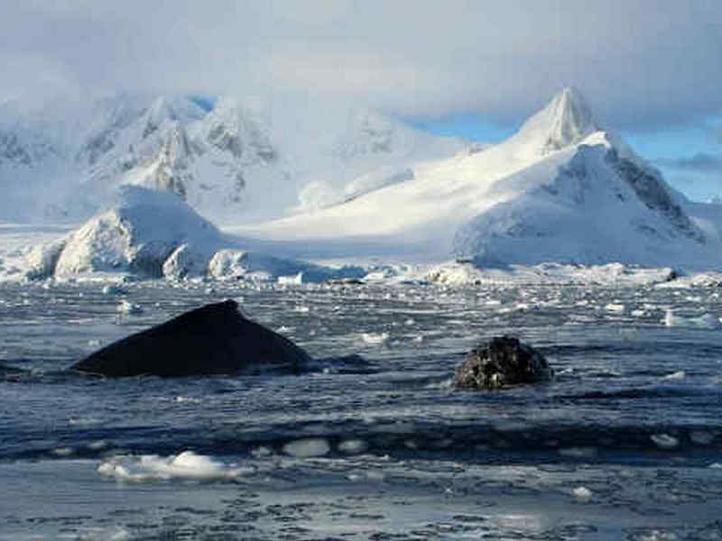 В Антарктиді зафіксували новий рекорд — температура піднялась до 20°C