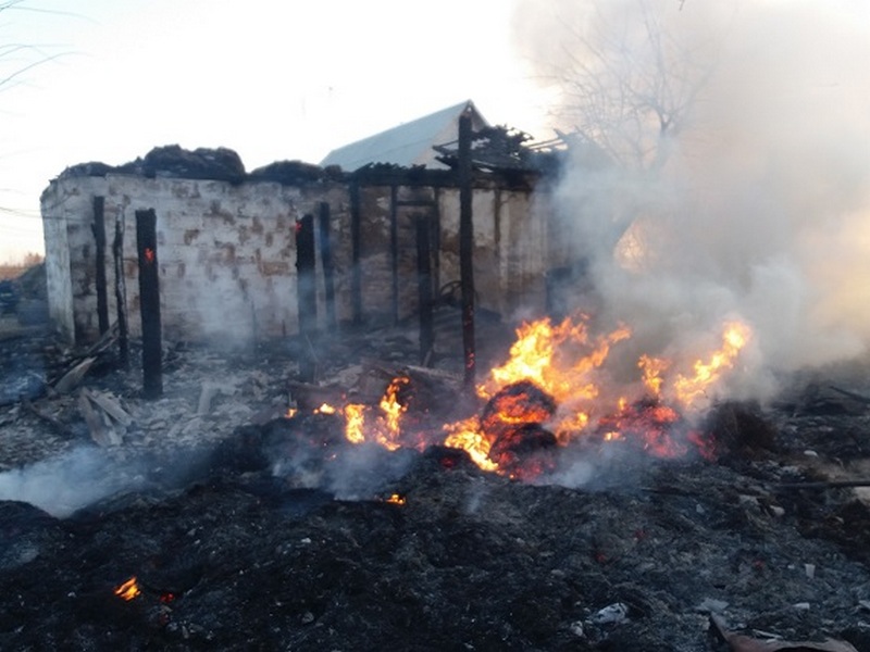 На Житомирщині діти спалили сарай і мало не залишилися без хати