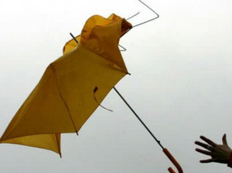 По всій Україні оголосили жовтий рівень небезпеки через штормовий вітер