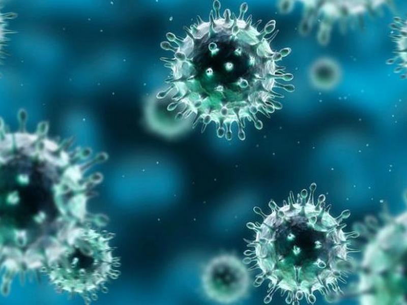 Американський біолог розкрив правду про смертність від коронавірусу