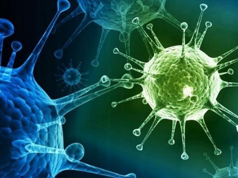 Що коронавірус робить з організмом людини