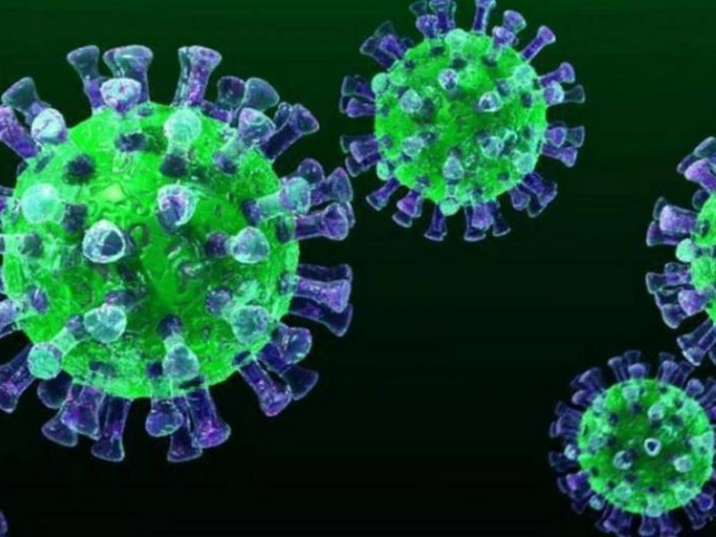 Американські вчені визначили, чи допоможуть тепла погода та сонячне світло побороти коронавірус