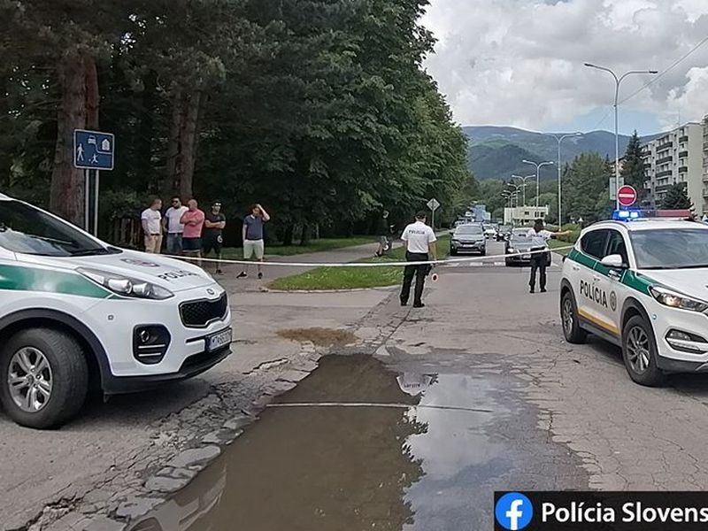 У Словаччині чоловік напав на школу та поранив ножем чотирьох осіб