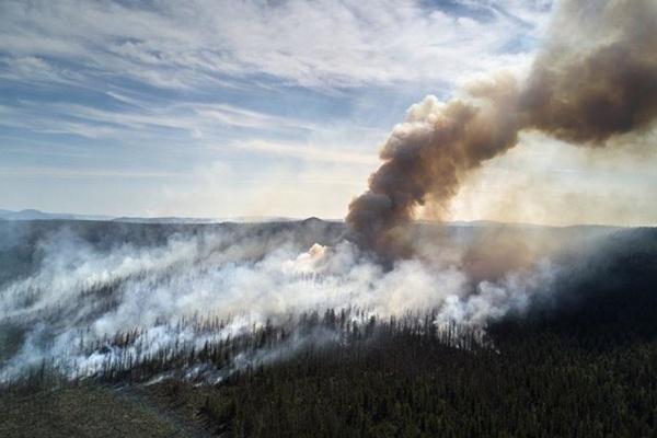 У Росії знову горить Сибір: вогнем охоплені вже 3 мільйони гектарів території