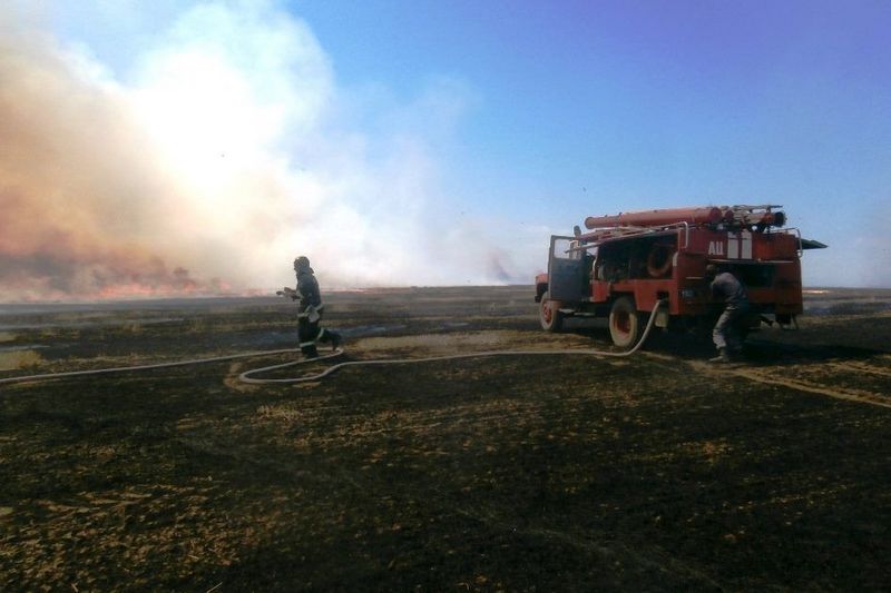 На Миколаївщині загорівся ячмінь на 23 гектарах