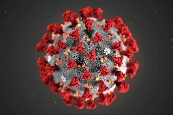 Внаслідок мутацій по світу поширилося 7 різних штамів коронавірусу - Reuters