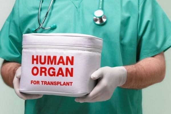 В Україні почала роботу єдина інформаційна система трансплантації органів