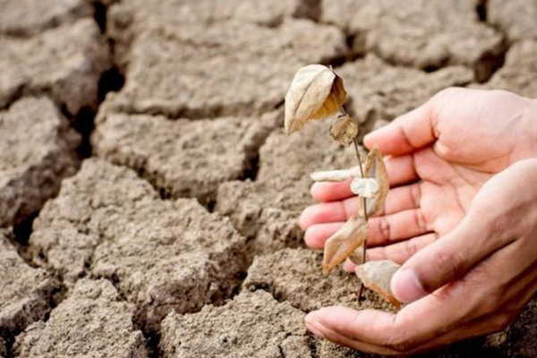 2021 принесе нові погодні рекорди: синоптики прогнозують в Україні сильну посуху