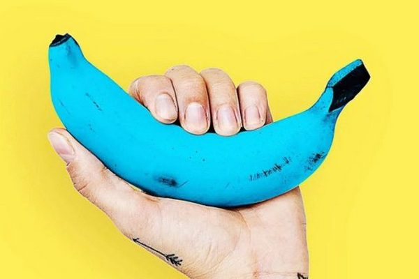 Виведено унікальний сорт бананів блакитного кольору