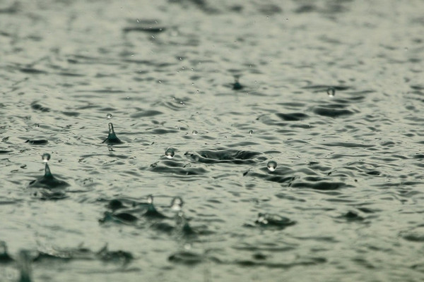 Запах дощу у повітрі: Вчені розповіли, чому це явище є небезпечним