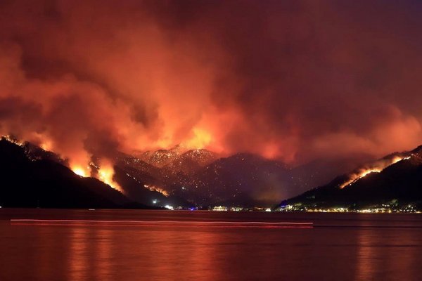 У масштабних лісових пожежах у Туреччині постраждали 864 людини, є загиблі