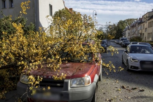 У Польщі через буревій загинули 4 людини, в тому числі українець