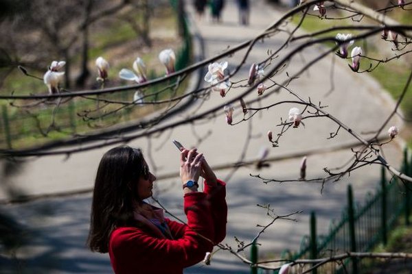 Довгі вихідні та робоча субота: скільки відпочиватимемо у березні