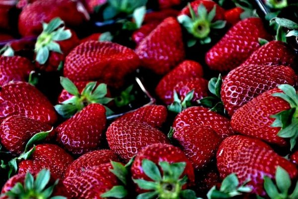 У травні ягоди будуть рекордно дешевими