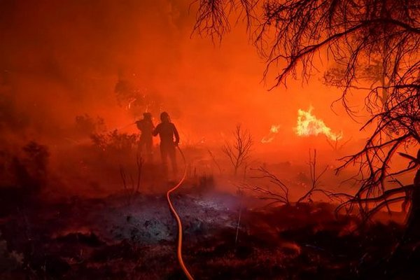 Величезна лісова пожежа в Іспанії знищила тисячі гектарів