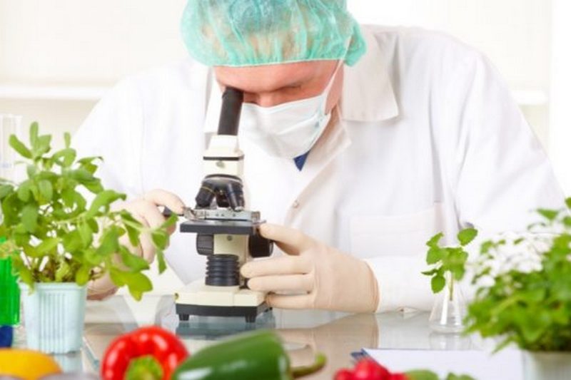 Безпечність харчових продуктів: що має знати виробник