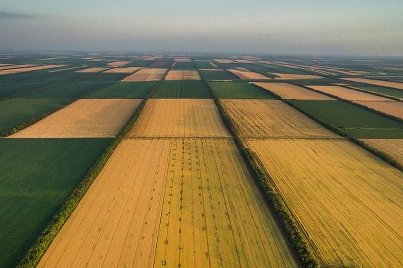 Мораторій на продаж землі скасують до кінця 2019 року — Офіс президента