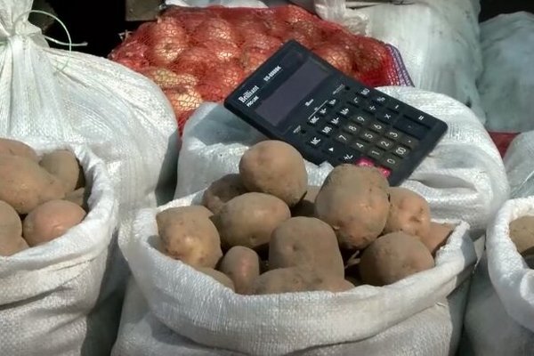В Україні стрімко падають ціни на картоплю
