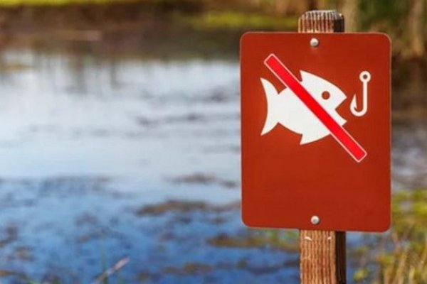 На Закарпатті діє нерестова заборона вилову водних біоресурсів