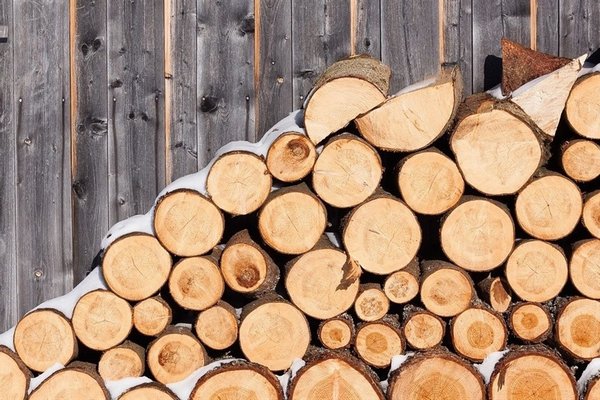 Українцям безкоштовно роздаватимуть дрова: хто отримає запас палива на зиму