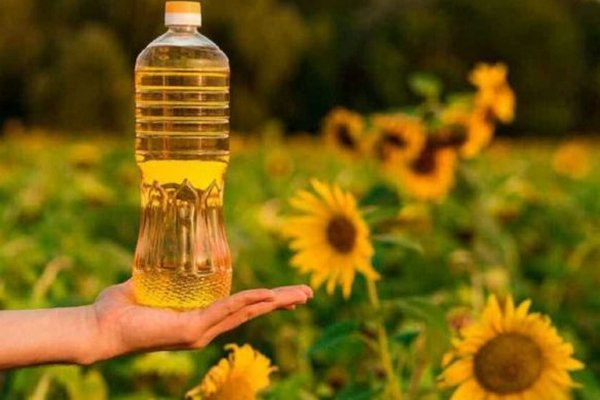 В Україні дорожчає олія — названі причини