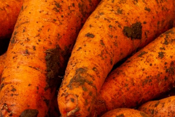Ціни на моркву в Україні б'ють рекорди: яка вартість