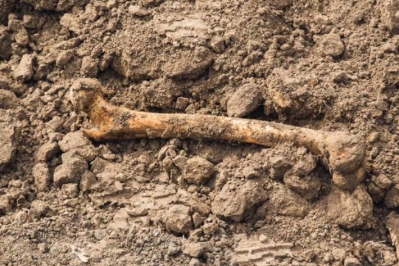 Копав траншею: волинянин натрапив на скелет людини