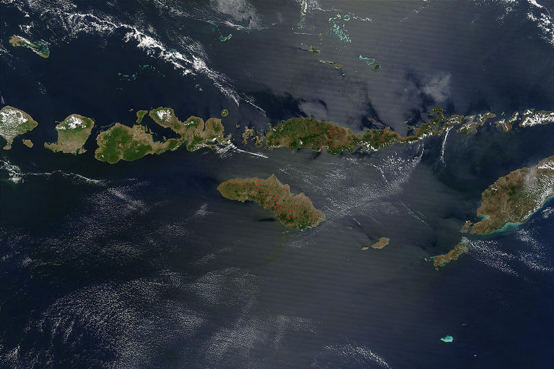 Індонезія залишить цілий острів драконам