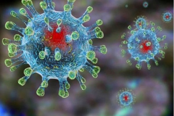 На Закарпатті виявили новий штам коронавірусу «Еріс»