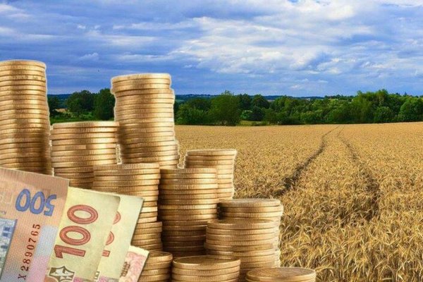 В Україні очікується різке зростання цін на землю у 2024 році