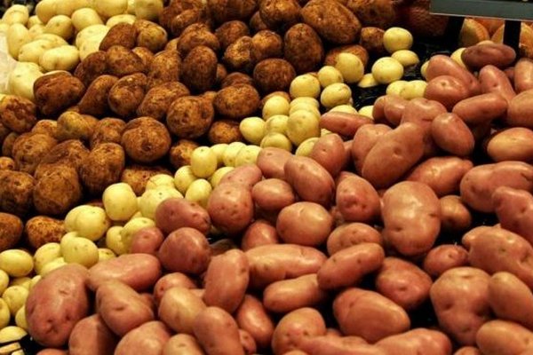 В Україні прогнозують рекордне здорожчання картоплі