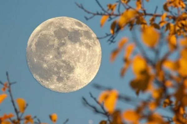 Експерти пояснили, чому неможливо побачити повний Місяць вдень