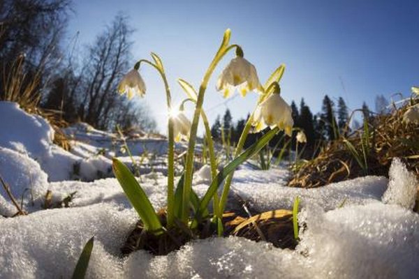 З теплом та дощами: синоптики розповіли, яким буде початок лютого