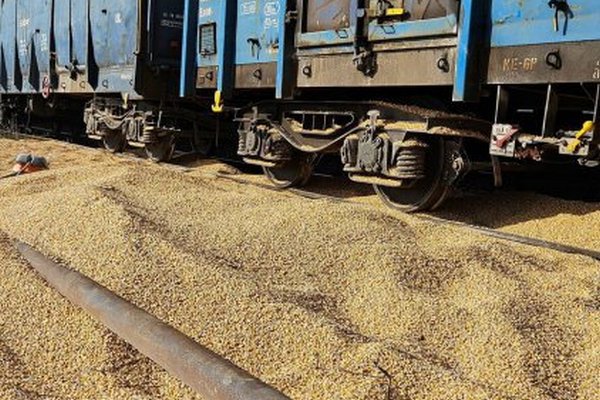 У Польщі утилізують розсипане українське зерно