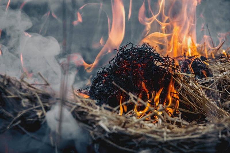 На Одещині 5-річна дитина загинула від пожежі в копиці сіна, яку сама й підпалила