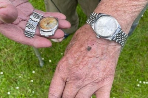 Чекав 50 років: фермер повернув свій Rolex після того, як його з’їла корова