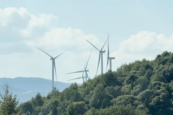 Ще на двох локаціях у Карпатах розділили землю під вітряки