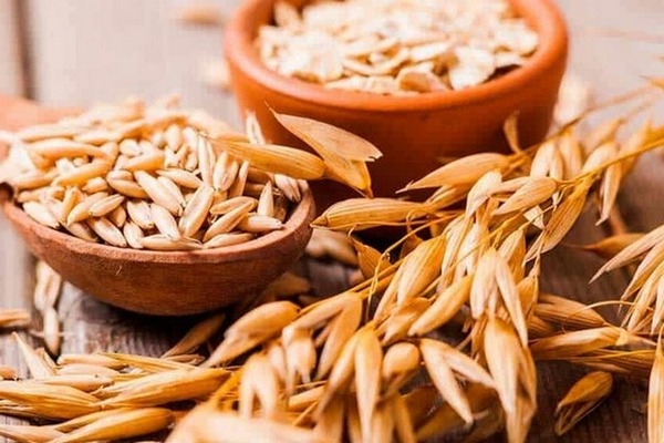 Експорт вівса з України: аналіз суттєвого зниження показників на початку сезону