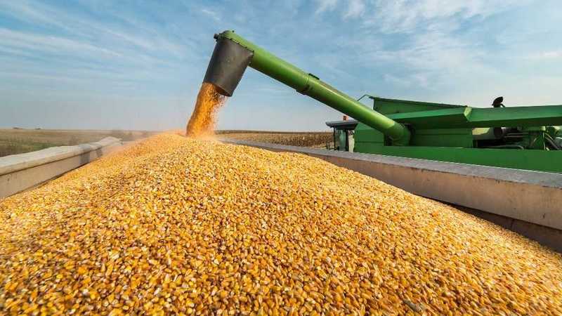 Нові горизонти агроекспорту: як українська продукція підкорює масштабний ринок Азії