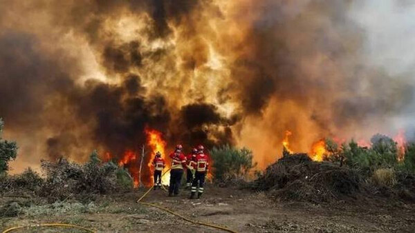 Масштабне стихійне лихо у Південній Європі: триває ліквідація катастрофічних лісових пожеж в Іспанії