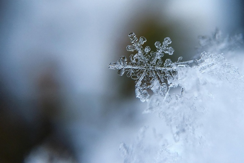 Засипле снігом: синоптики дали холодний прогноз погоди на листопад