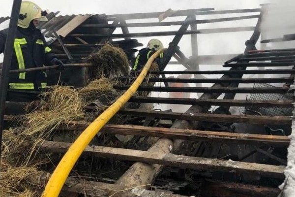 На Хустщині вогонь знищив 2 тонни сіна (Фото)