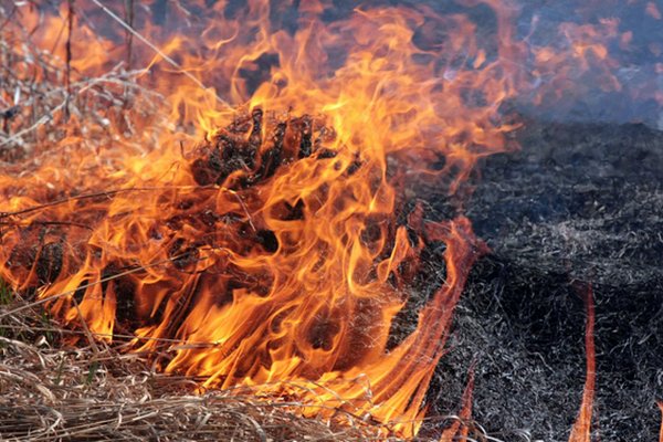 На Хустщині бабуся спалювала траву і постраждала від вогню