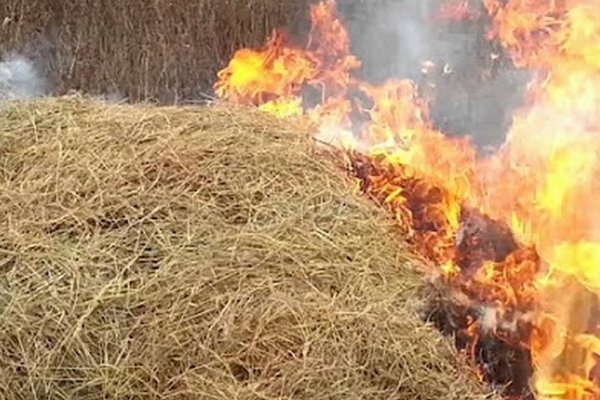 На Іршавщині згоріло 5 тонн сіна