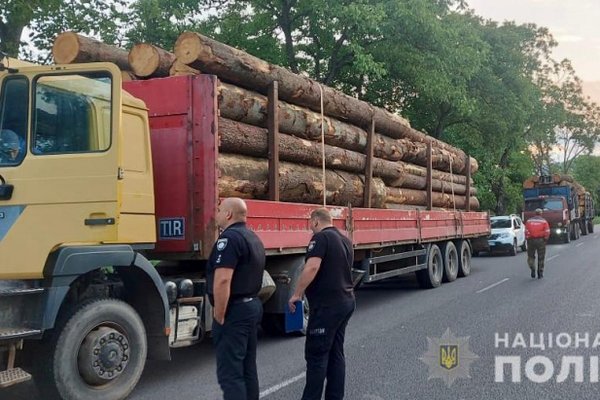 На Хустщині правоохоронці затримали дві вантажівки з нелегальною деревиною (ФОТО)
