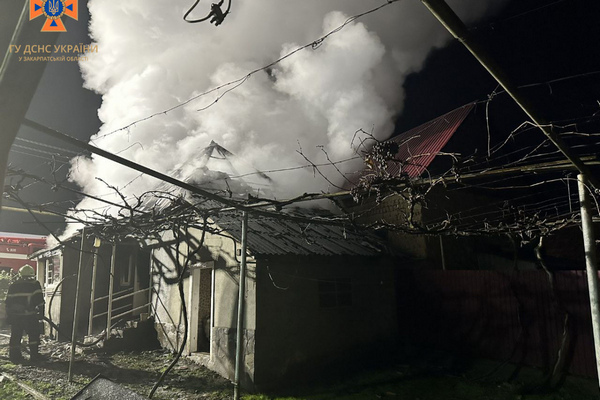 Вогнеборці гасили пожежу 2 години: на Закарпатті горів будинок (ФОТО)