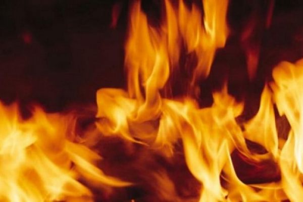 У Синевирі в пожежі загинув власник будинку