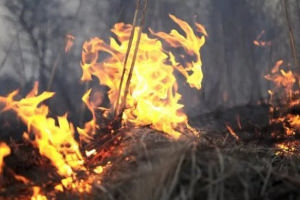 Масштабна пожежа на Хустщині: вогонь охопив суху траву та чагарники
