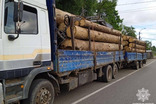 На Закарпатті виявили водія, який перевозив деревину без відповідних документів