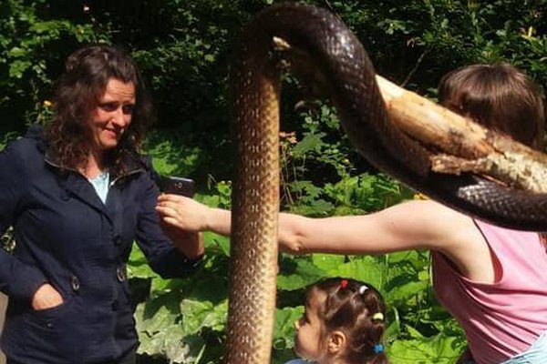 На Закарпатті туристи натрапили на 2-метрову змію (фото)